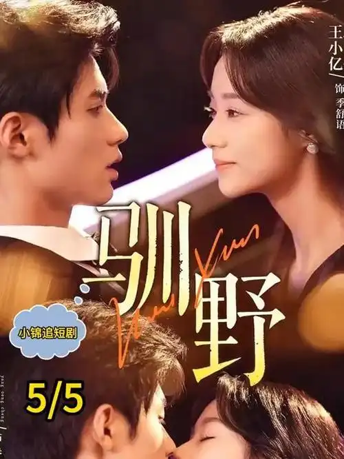 甜宠轻喜短剧总裁的第七次失忆封面